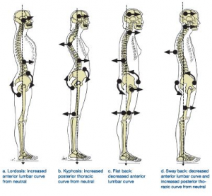 Posture And Alignment - Bodyweight Pilates